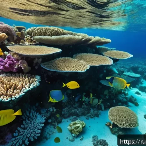 Home 30 투발루의 자연 보호 구역 - A vibrant underwater scene showcasing the fragile coral reefs of Tuvalu’s Funafuti Marine Sanctuary,...